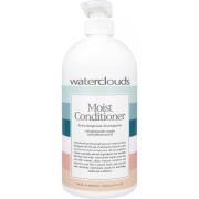 Waterclouds Moist Conditioner 1000 ml