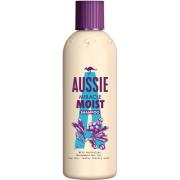 Aussie Miracle Moist Shampoo