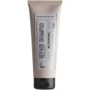 Ecooking Haircare Repair Shampoo 250 ml