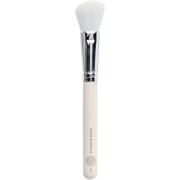 PAESE Minerals Brush 02