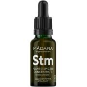 Mádara Custom Active Plant Stem Cell Concentrate 17 ml