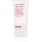 Evo Repair Mane Attention Protein Treatment 140 ml