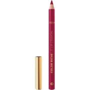 Loreal Paris Color Riche Le Lip Crayon Lip Liner 2010 La Prune