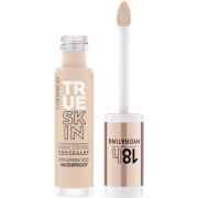 Catrice True Skin High Cover Concealer 010