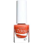 Depend 7day Sweden Hybrid Polish 7348