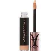 Anastasia Beverly Hills Magic Touch Concealer 15