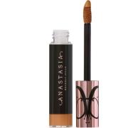 Anastasia Beverly Hills Magic Touch Concealer 23