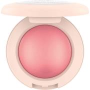 Catrice Soft Glam Baked Blush 040 Midnight Berry