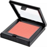 Make Up Store Blush  Lush