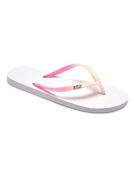 Roxy Sandalen Viva Gradient