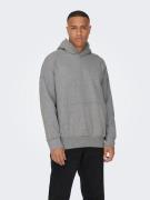 ONLY & SONS Hoodie ONSDAN LIFE RLX HEAVY SWEAT HOODIE NOOS