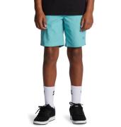 NU 20% KORTING: DC Shoes Short Wayford