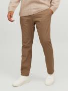 Jack & Jones PlusSize Chino JPSTMARCO JJDAVE LC NOOS PLS