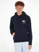 TOMMY JEANS Hoodie TJM REG ESSENTIAL FLAG HOOD EXT