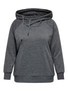 NU 25% KORTING: ONLY CARMAKOMA Hoodie CARLAMILLE L/S HOOD CS SWT