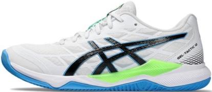 Asics Zaalschoenen GEL-TACTIC 12