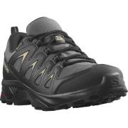 Salomon Wandelschoenen X BRAZE GORE-TEX