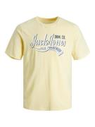 Jack & Jones Junior Shirt met ronde hals JJELOGO TEE SS NECK 2 COL AW2...