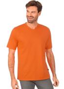 NU 20% KORTING: Trigema T-shirt Trigema V-Shirt DELUXE katoen (1-delig...