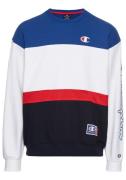 Champion Sweatshirt