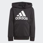 adidas Sportswear Hoodie LK BL FT HD