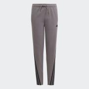 adidas Sportswear Sportbroek U FI 3S PT (1-delig)