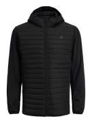 NU 20% KORTING: Jack & Jones PlusSize Gewatteerde jas JJEMULTI QUILTED...