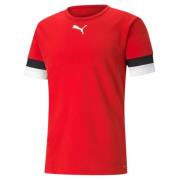 PUMA Trainingstop TEAMRISE JERSEY