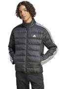 NU 20% KORTING: adidas Sportswear Outdoorjack ESS 3S LITE D J