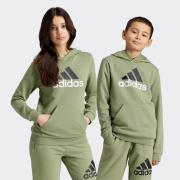 adidas Sportswear Hoodie U BL 2 HOODIE