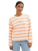 Tom Tailor Sweatshirt in streepoptiek