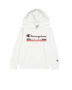 Champion Hoodie HOODED sweatshirt