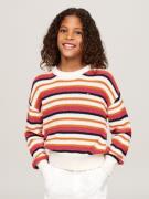 Tommy Hilfiger Gebreide trui ESSENTIAL STRIPE SWEATER