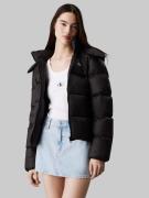 NU 20% KORTING: Calvin Klein Outdoorjack MW DOWN SHORT PUFFER