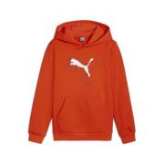 PUMA Hoodie ESS+ LOGO LAB CAT HOODIE FL B