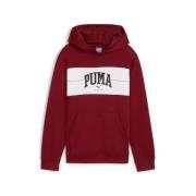 PUMA Hoodie SQUAD HOODIE FL B