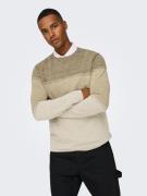 ONLY & SONS Gebreide trui ONSFELIX REG 12 CREW KNIT NOOS