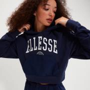 NU 20% KORTING: ellesse Hoodie D hoodie