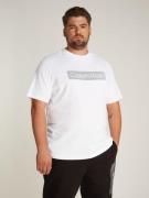 NU 20% KORTING: Calvin Klein T-shirt BT-BOX STRIPED LOGO T-SHIRT in gr...