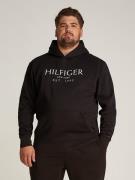 Tommy Hilfiger Hoodie BT-BIG HILFIGER HOODY-B