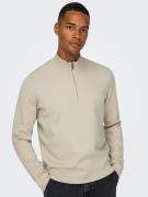 ONLY & SONS Schipperstrui ONSCOOPER REG 12 HALF ZIP HIGH NECK KNIT