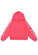 Champion Hoodie HOODED sweatshirt