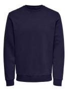 NU 20% KORTING: ONLY & SONS Sweatshirt ONSCERES CREW NECK NOOS