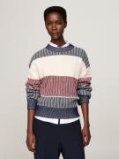 Tommy Hilfiger Gebreide trui GLOBAL STP ALL OVER SWEATER (Global Serie...