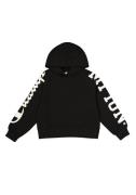 Champion Hoodie HOODED sweatshirt