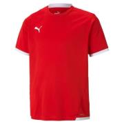 NU 20% KORTING: PUMA Trainingstop TEAMLIGA JERSEY JR