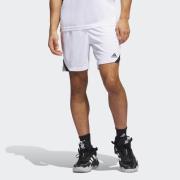 NU 20% KORTING: adidas Performance Trainingsshort M ICON SQUAD S (1-de...