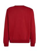 NU 20% KORTING: TOMMY JEANS Sweatshirt TJM REG S FLAG CREW