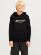 Jack & Jones Junior Hoodie JORVESTERBRO NEWTON BRNDG SWEAT BF JNR