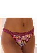 Vivance Tanga van kleurrijke, bloemige kant met mooie sierband